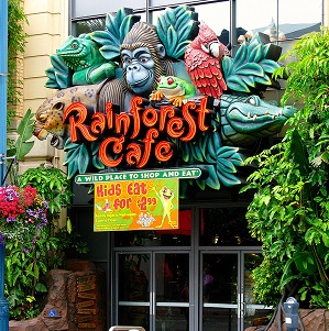 Whole restaurant at Rainforest Cafe, San Francisco | Venue ...