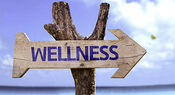 Wellness in the Workplace